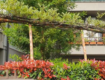 Giardino - Trilocale in Vendita in Via Agostino dal Pozzo 62 a Vicenza