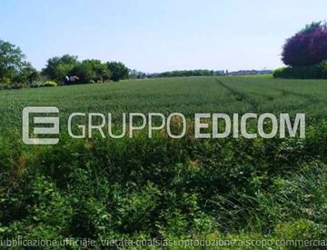 Foto 1 di 2 - Terreno agricolo in Vendita in Piazza Angelo Trevisan a San Donà di Piave