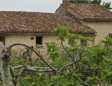 Facciata - Appartamento in Vendita in Strada Valentini a Grottazzolina