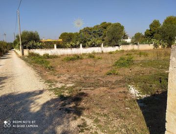 Foto 1 di 5 - Terreno agricolo in Vendita in Strada Provinciale 132 a Maruggio