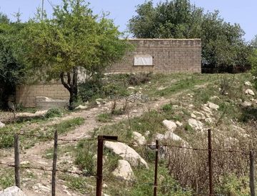 Giardino - Rustico, casale in Vendita in Strada Provinciale 55 a Ragusa