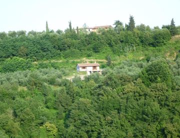 Giardino - Casa indipendente in Vendita in Via Dante a Montopoli in Val d'Arno