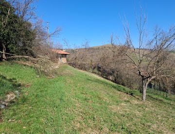Giardino - Casa indipendente in Vendita a Serramazzoni