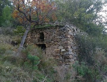 Foto 1 di 3 - Rustico, casale in Vendita in Via Provinciale a Cipressa