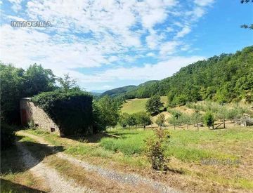 Giardino - Rustico, casale in Vendita a Pieve Santo Stefano
