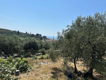 Foto 1 di 8 - Terreno edificabile in Vendita in Via Felice Paglieri a Imperia