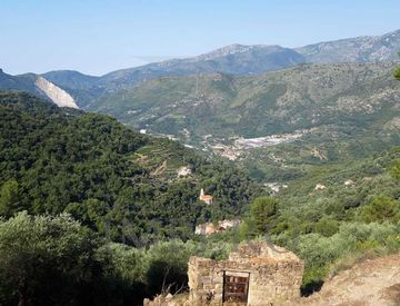 Foto 1 di 4 - Terreno agricolo in Vendita in Frazione Verrandi 1 A a Ventimiglia