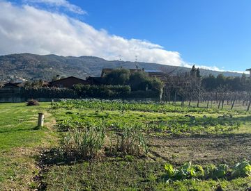 Terreno agricolo in Vendita in zona Agazzi Olmo San Zeno a Arezzo