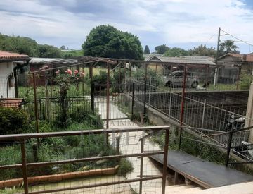 Terrazza - Casa indipendente in Vendita in Via Matteotti a Vallecrosia