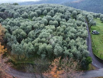 Vista - Terreno agricolo in Vendita in Via Sarripoli e Brocchi di Paolone a Pistoia