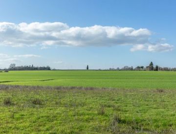 Terreno agricolo in Vendita in 8vp2 cq arezzo a Arezzo 120000mq