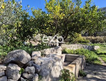 Giardino - Rustico, casale in Vendita in Strada Provinciale 54 a Scicli