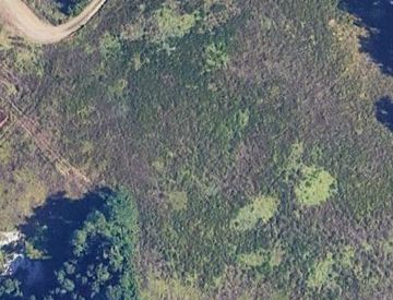 Foto 1 di 5 - Terreno agricolo in Vendita in Via Castel de Britti a San Lazzaro di Savena