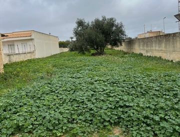 Foto 1 di 5 - Terreno edificabile in Vendita in zona Centro Storico a Marsala