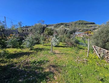 Foto 1 di 6 - Terreno agricolo in Vendita in Via Beglini a Taggia