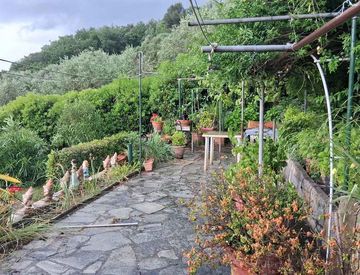 Giardino - Casa indipendente in Vendita in loc passerina a Dolceacqua