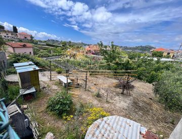 Foto 1 di 2 - Terreno agricolo in Vendita in zona Bussana, Poggio a Sanremo