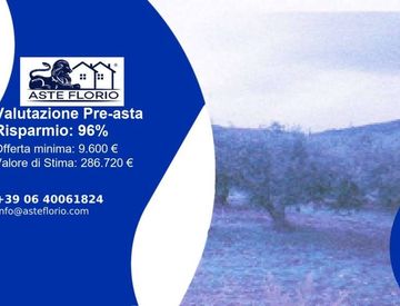 Foto 1 di 10 - Terreno agricolo in Vendita in Strada Statale 113 Settentrionale Sicula a Erice