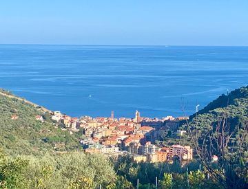Vista - Terreno agricolo in Vendita in Contrada Sacconi 7 a Noli