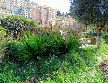 Foto 1 di 3 - Terreno agricolo in Vendita in Via porta candelieri a Sanremo
