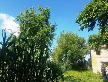 Giardino - Rustico, casale in Vendita in Via Che Guevara a Castelfidardo