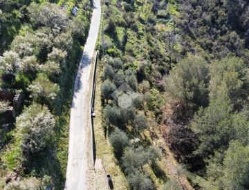 Foto 1 di 11 - Terreno agricolo in Vendita in Via Annunziata a San Biagio della Cima