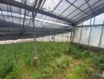 Foto 1 di 17 - Terreno agricolo in Vendita in Regione Ponte 85 a Taggia