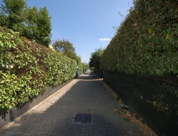 Giardino - Trilocale in Vendita in Via Colli Monsignore a Traversetolo