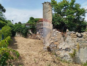 Giardino - Casa indipendente in Vendita in Via Merea a Diano Arentino