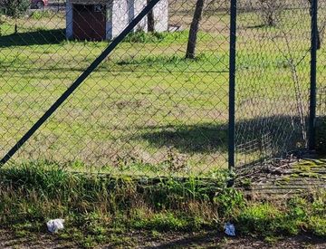 Giardino - Locale commerciale in Vendita in xx a Ferentino