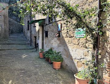 Area comune - Trilocale in Vendita in Vicolo dell'arco 9 a Grotte di Castro