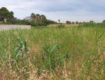 Foto 1 di 12 - Terreno agricolo in Vendita in Contrada Berbaro a Marsala