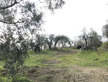 Terreno agricolo in Vendita in zona Agazzi Olmo San Zeno a Arezzo