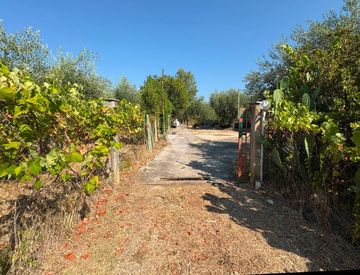 Giardino - Rustico, casale in Vendita in Via delle Vigne a Sermoneta