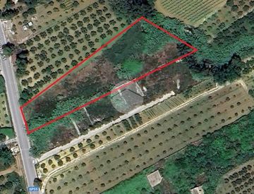 Foto 1 di 12 - Terreno agricolo in Vendita in SP55 135 a Alcamo