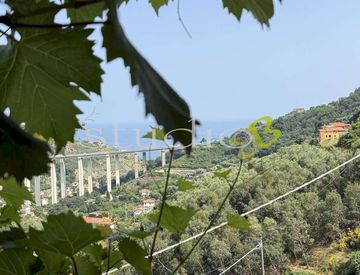 Foto 1 di 34 - Casa bifamiliare, trifamiliare in Vendita in Via L. Alborno a Ventimiglia
