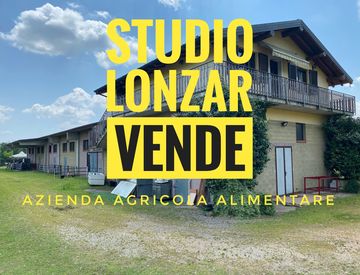 Foto 1 di 73 - Casa indipendente in Vendita in Via Europa a Sangiano