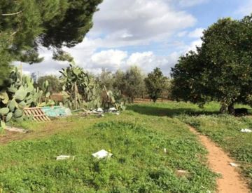 Giardino - Trilocale in Vendita in Via Generale Vincenzo Magliocco a Comiso