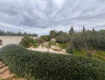 Giardino - Terreno edificabile in Vendita in Contrada Cutusio a Marsala