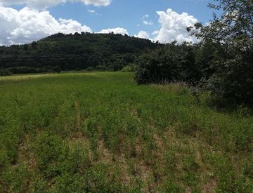 Terreno agricolo in Vendita in zona Meridiana Pescaiola a Arezzo