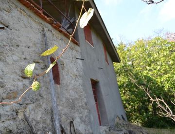 Foto 1 di 5 - Rustico, casale in Vendita in Strada Mainardo a Ceriana