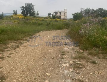 Giardino - Casa indipendente in Vendita in Via Civezza a Civezza