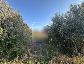 Giardino - Terreno agricolo in Vendita in Via del Casale Ciminelli a Roma