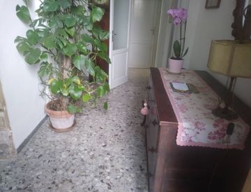 Foto 1 di 13 - Casa indipendente in Affitto in Via Fabio Filzi a Pisa