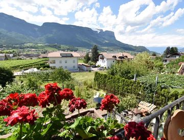 Giardino - Casa indipendente in Vendita in Via Monticolo a Appiano sulla strada del vino