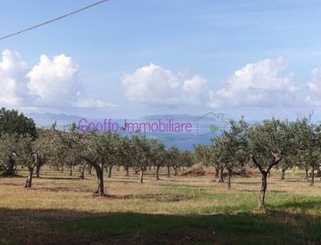 Giardino - Terreno edificabile in Vendita in Piano Guastella a Erice