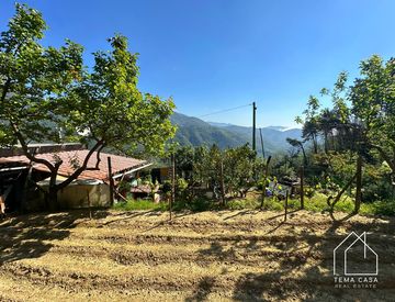 Giardino - Casa indipendente in Vendita in Strada Mainardi a Ceriana