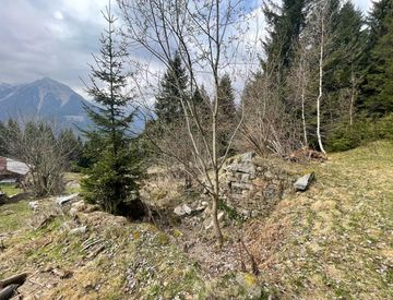 Foto 1 di 3 - Baita, bungalow, chalet, trullo in Vendita in Località Pra' Rodont a Pinzolo