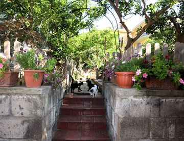 Giardino - Trilocale in Affitto in Via Eduardo de Martino a Meta