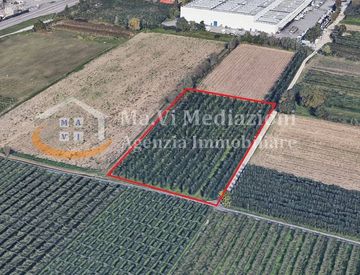 Foto 1 di 8 - Terreno agricolo in Vendita in Località Fangolino a Riva del Garda